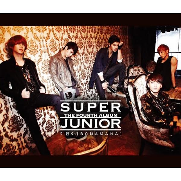 SUPER JUNIOR Mr.Simple LP版 ドンヘ イトゥク SUPER JUNIOR Mr.Simple
