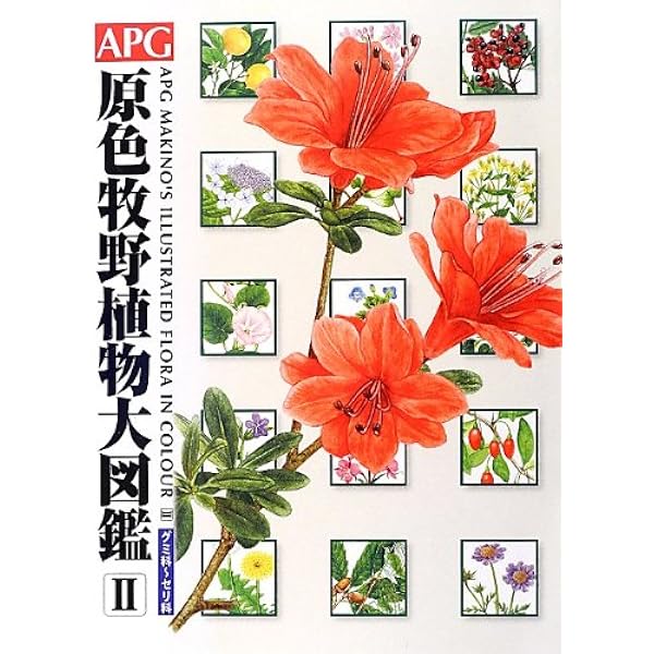 APG原色牧野植物大図鑑 1 | 邑田 仁, 米倉 浩司 |本 | 通販 | Amazon