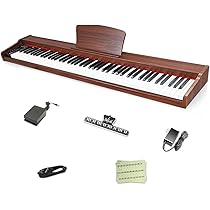 61w3vFNZraL._AC_UL210_SR210,