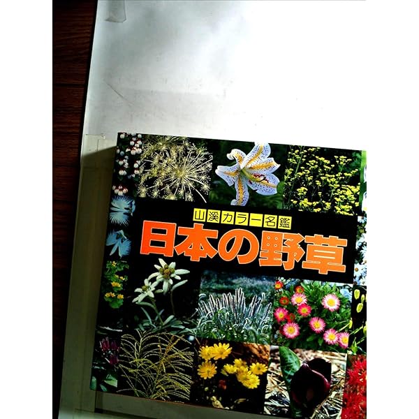 Amazon.co.jp: 増補改訂新版 日本の樹木 (山溪カラー名鑑) : 編・解説