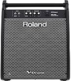 Amazon | Roland ローランド パーソナルモニター PM-100 モニター