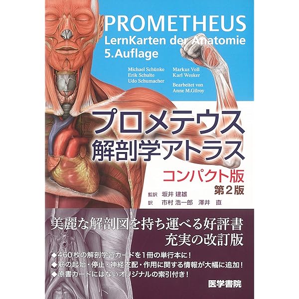 図説筋の機能解剖 | ジョン H.ウォーフィル, 盛岡 通, 小川 恵子 |本