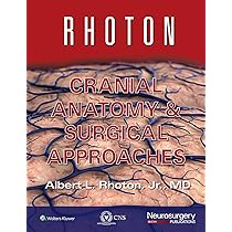 Rhoton's Cranial Anatomy and Surgical Approaches : Rhoton