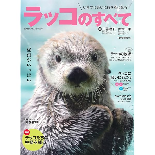 銀色ラッコのなみだ: 北の海の物語 (フォア文庫 C 130) | 岡野 薫子