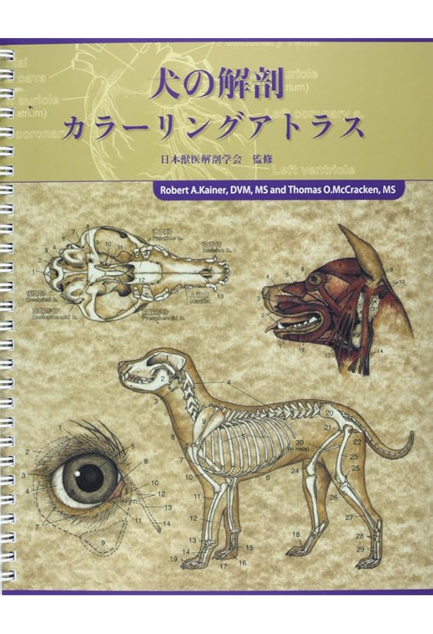 Amazon.co.jp: カラーアトラス獣医解剖学 増補改訂第2版 下巻 : カラー