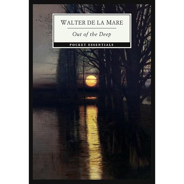 Amazon.com: The Sound of Finnegans Wake: 9780333553398: Myers, P