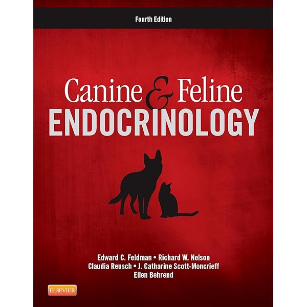 Canine and Feline Respiratory Medicine: Johnson, Lynelle R