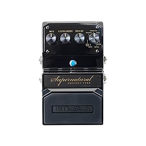 NUX Atlantic Delay ＆ Reverb - クラシックなディレイとリバーブを