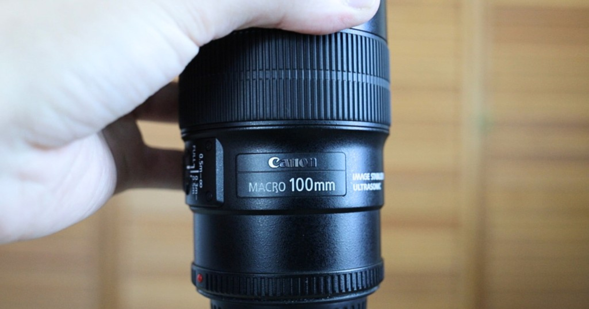 Canon EF 100mm f/2.8L IS Macro Lens Review