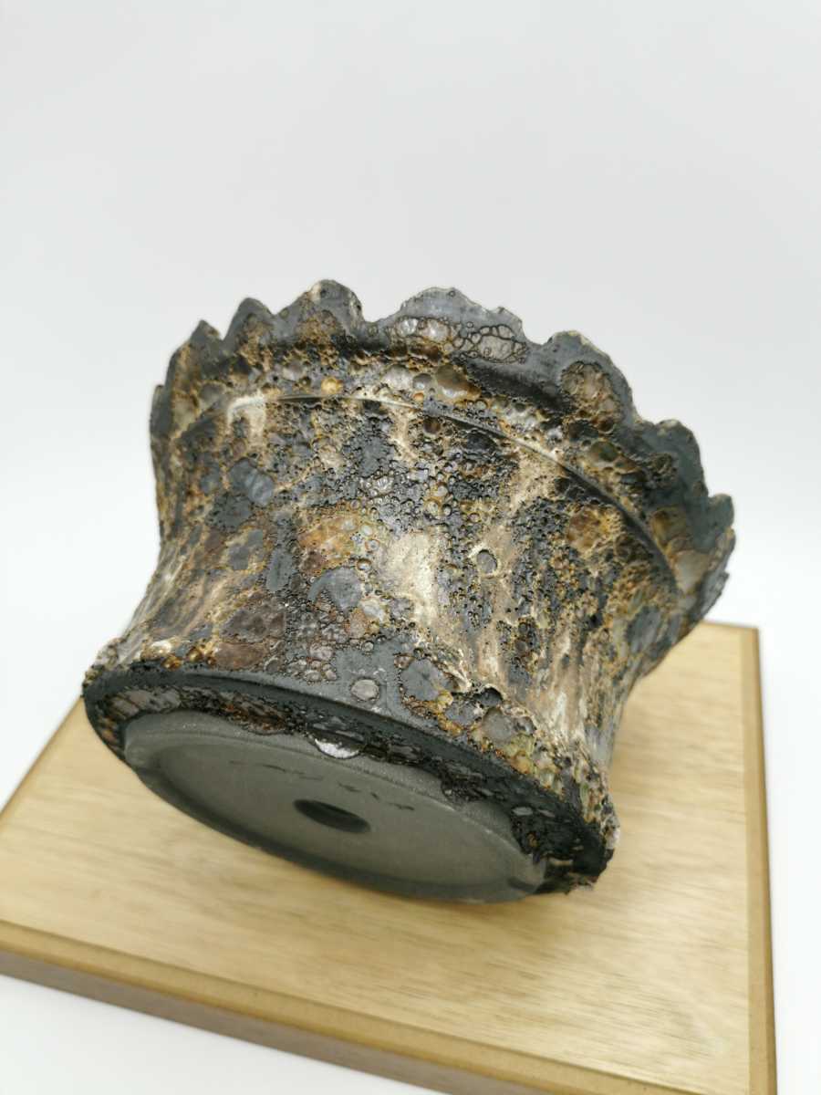 新品】入手困難 中川智治 作家鉢 陶芸家 植木鉢 グラキリス コーデック