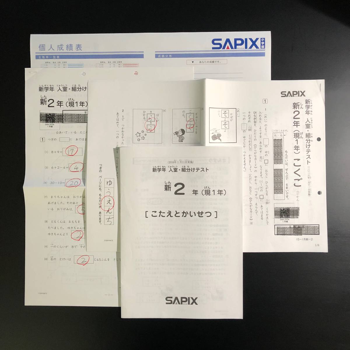 サピックス5年 2024年3月 3月度復習テスト 新小5 新5年生 2024年度