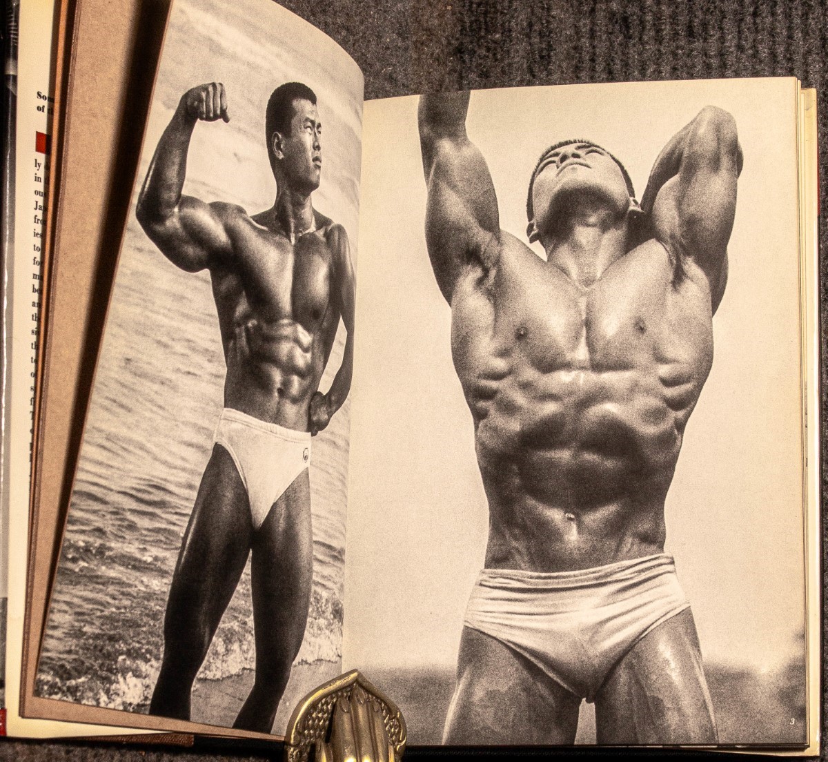Young Samurai: Bodybuilders Of Japan. MG Show-