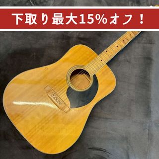 アコースティックギター／エレクトリック・アコースティックギター
