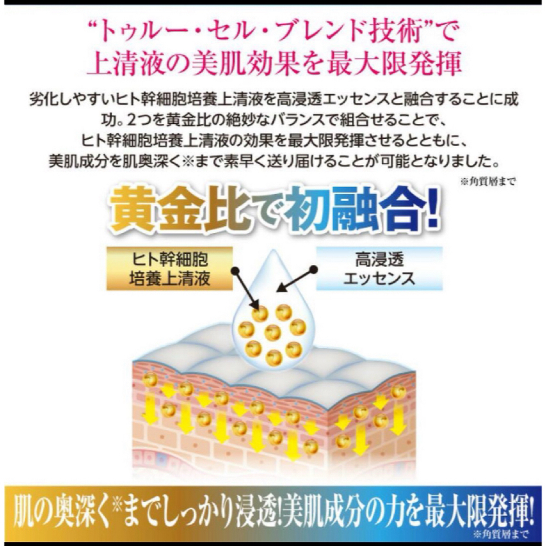 セリスタ 純度100% ヒト幹細胞 培養上清液 ザカクテルセラム 美容液 4