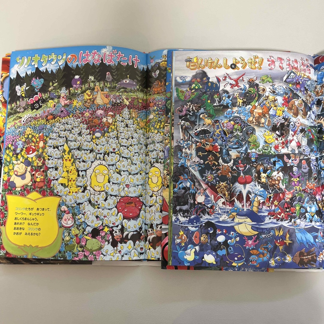 絵本セット ポケモンをさがせ！プラチナ ポケモンをさがせ！ルビー