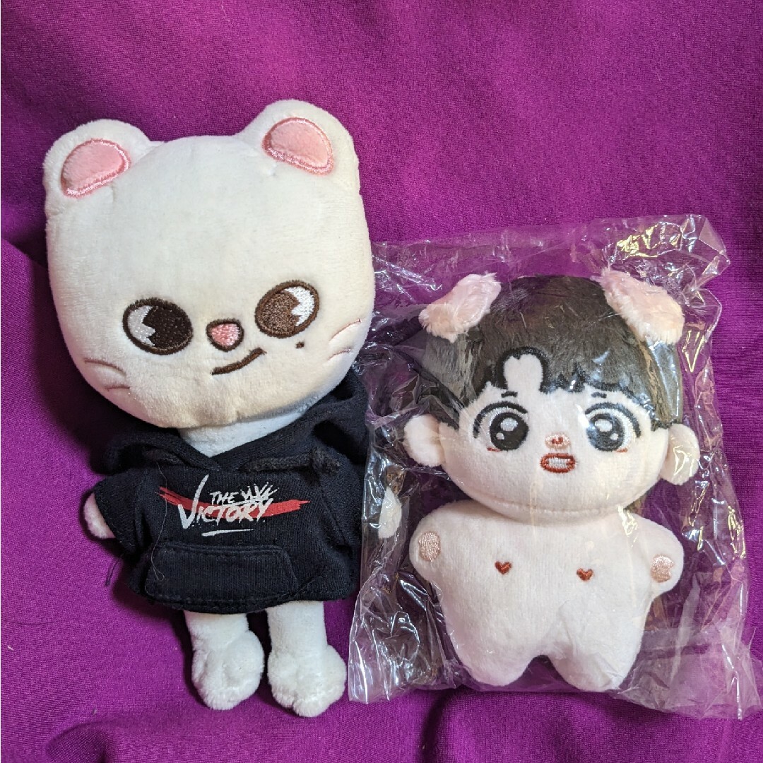 Stray Kids - ☆stray kids チャンビン 10cm ぬいぐるみ☆ビニ