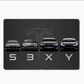 テスラ プレートのフリマアイテム一覧