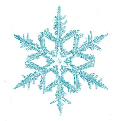 Snow Smile : BUMP OF CHICKEN | HMV&BOOKS online : Online Shopping