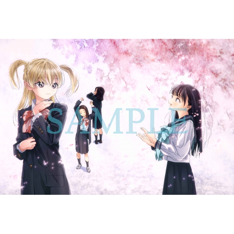 明日ちゃんのセーラー服 1【完全生産限定版】 : 明日ちゃんの