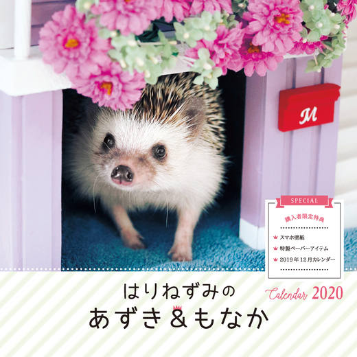 はりねずみのあずき&もなか Calendar - インプレスブックス