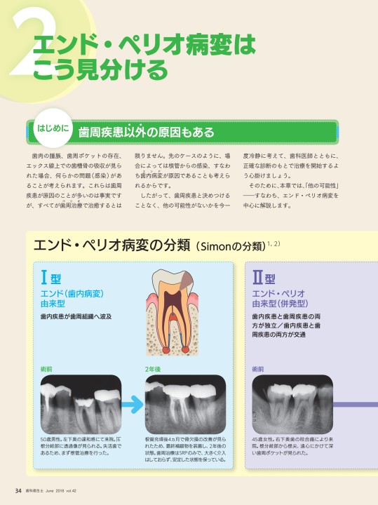 歯科衛生士 2018年6月