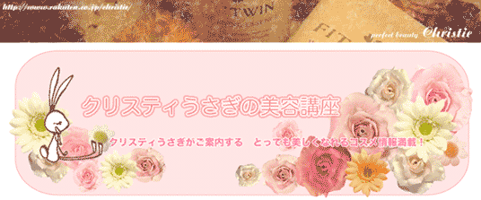 新発売☆【送料無料】エステツイン正規品☆インダーム アドバンスト