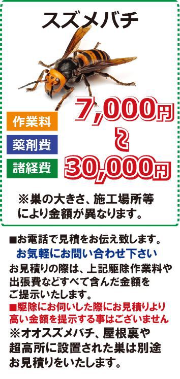 ニンニンジャーにスズメバチ参上！！ l 静岡県蜂駆除専門 | 掛川市
