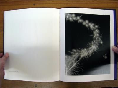 Hiroshi Sugimoto（杉本博司）: The Day After | 杉本博司 - BOOK OF