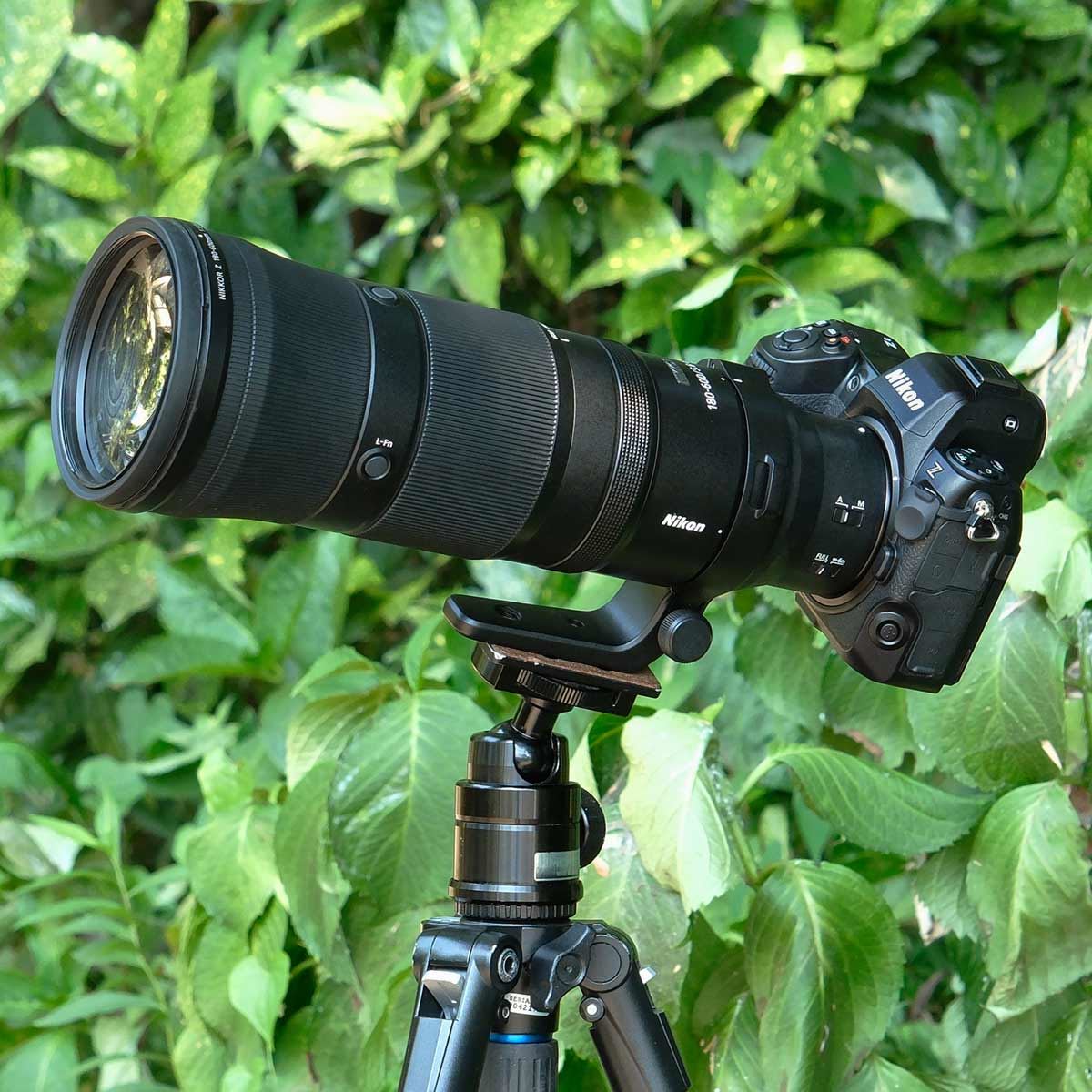 待望の“手が届く”超望遠ズーム「NIKKOR Z 180-600mm f/5.6-6.3 VR