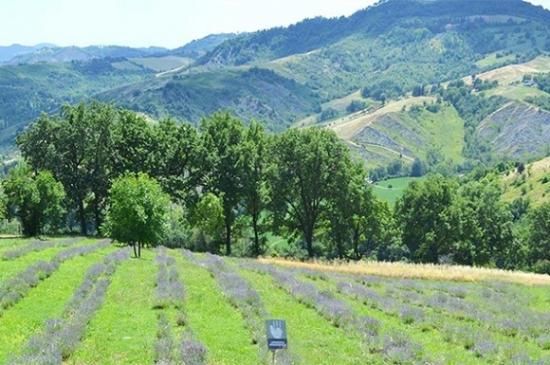 ローランドオーガニックウェイ デイリーアクト デイリーユーズ