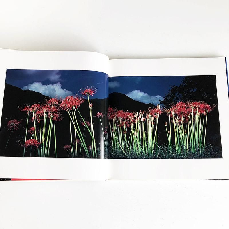 BOTANICAL PLANETARIUM by Gasho Yamamura花狩 山村雅昭 写真集 - 古本