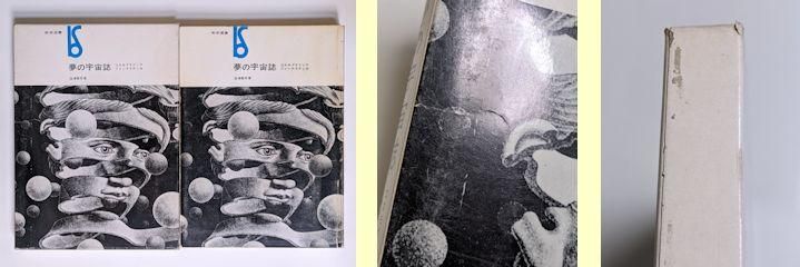 美術選書 夢の宇宙誌 コスモグラフィアファンタスティカ 澁澤龍彦 美術