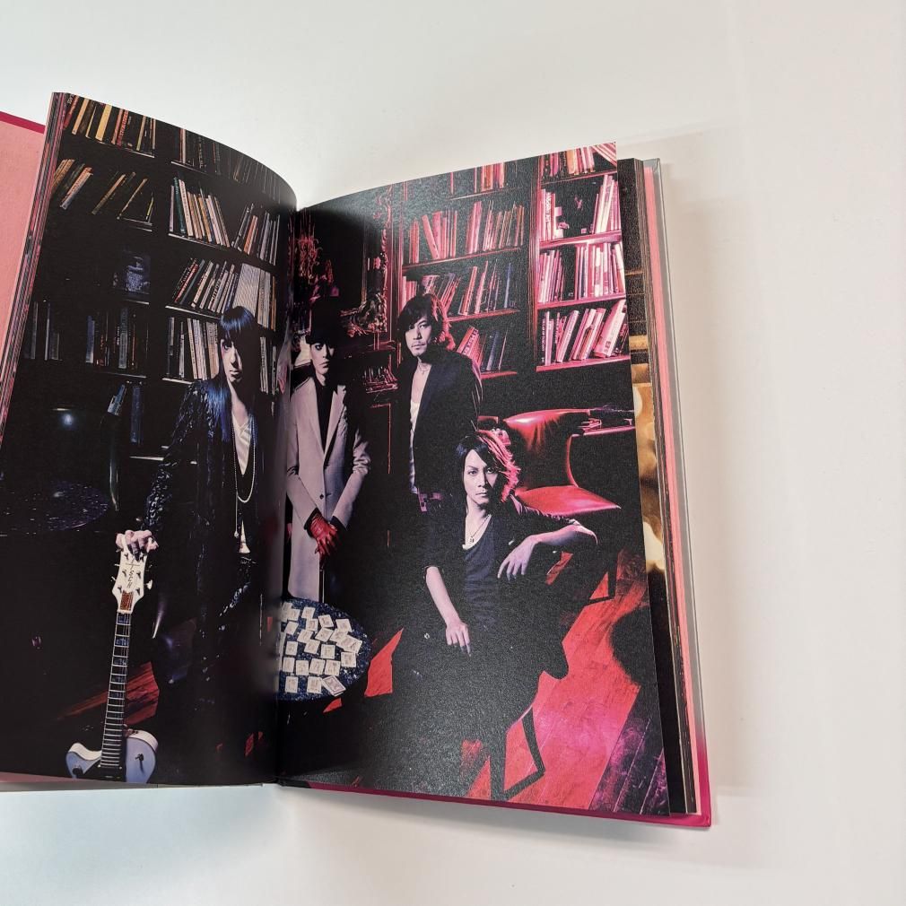 BUCK-TICK 2010年ツアー・パンフレット RAZZLE DAZZLE 2010 デザイン