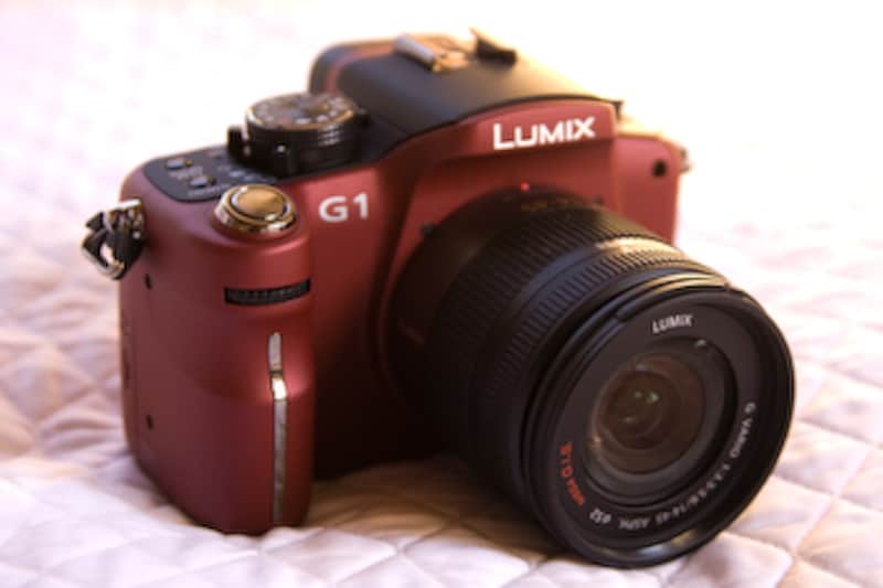 LUMIX G1で学ぶデジタル一眼撮影テク [生活家電ニュース] All About