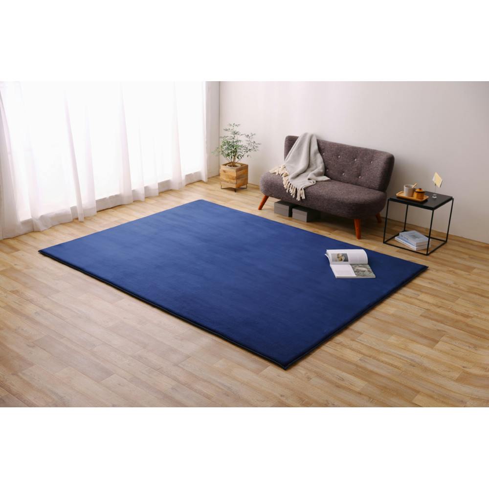 アイリスオーヤマ ラ・クッションラグ リバーシブルタイプ ACRR-CM1824