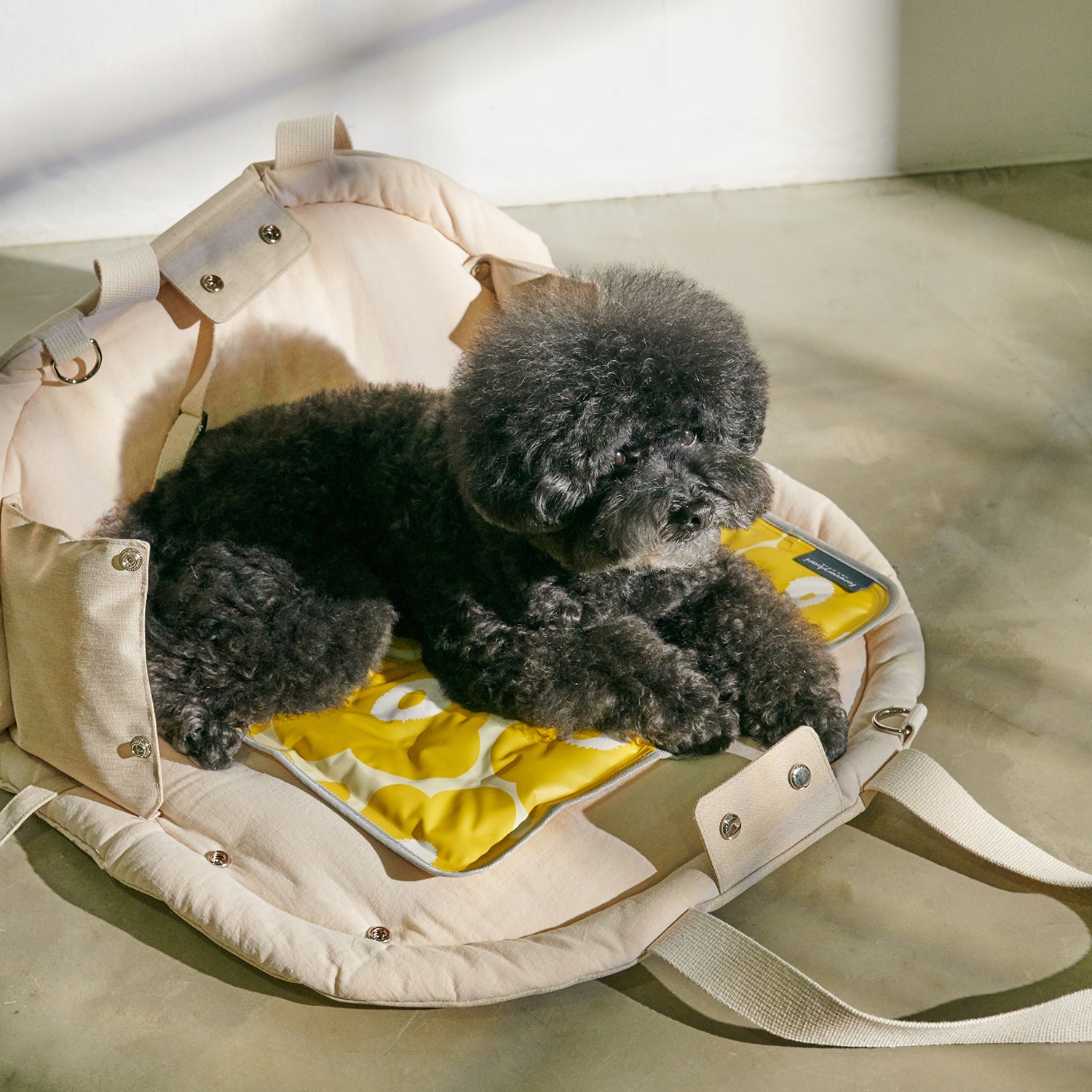 お散歩バッグ / BUCKET BAG BLACK LUXE – inunoco / いぬのこ