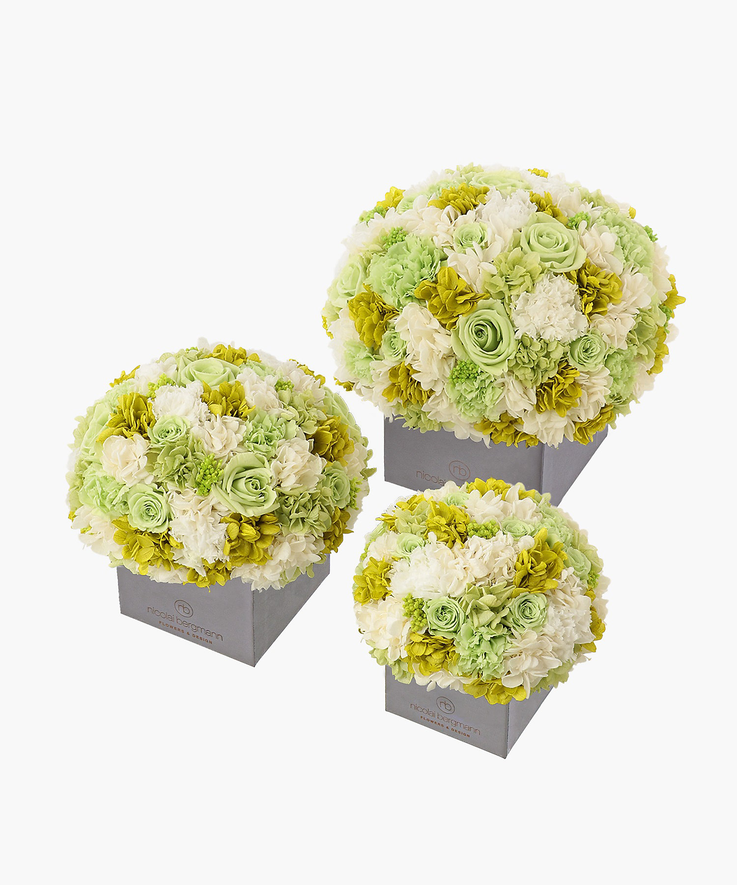 PF-CUBE-WHITE-GREEN-01?$VS_1500$