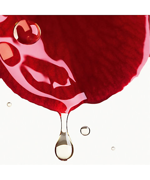 CHANEL（CHANEL） スムース クリーム N°1 ドゥ シャネル（リフィル