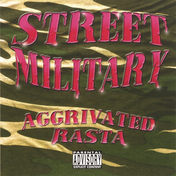 Don't Give a Damn - Album by Street Military - Apple Music