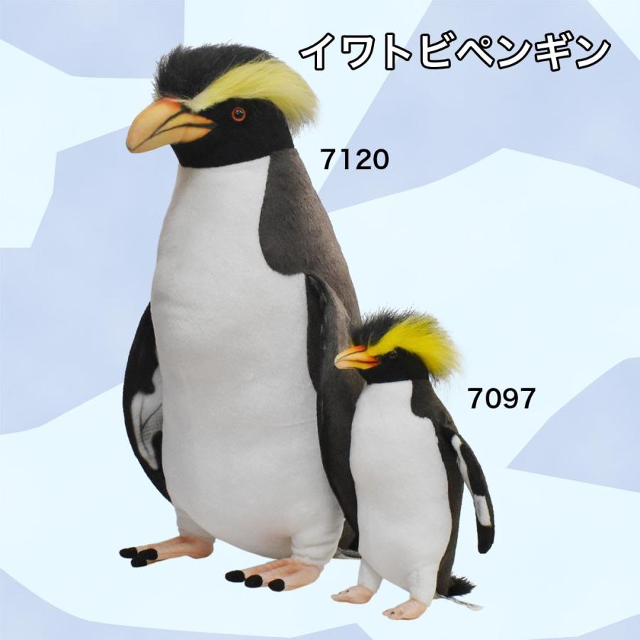 HANSA BH7097 イワトビペンギン いわとびぺんぎん ぬいぐるみ リアル