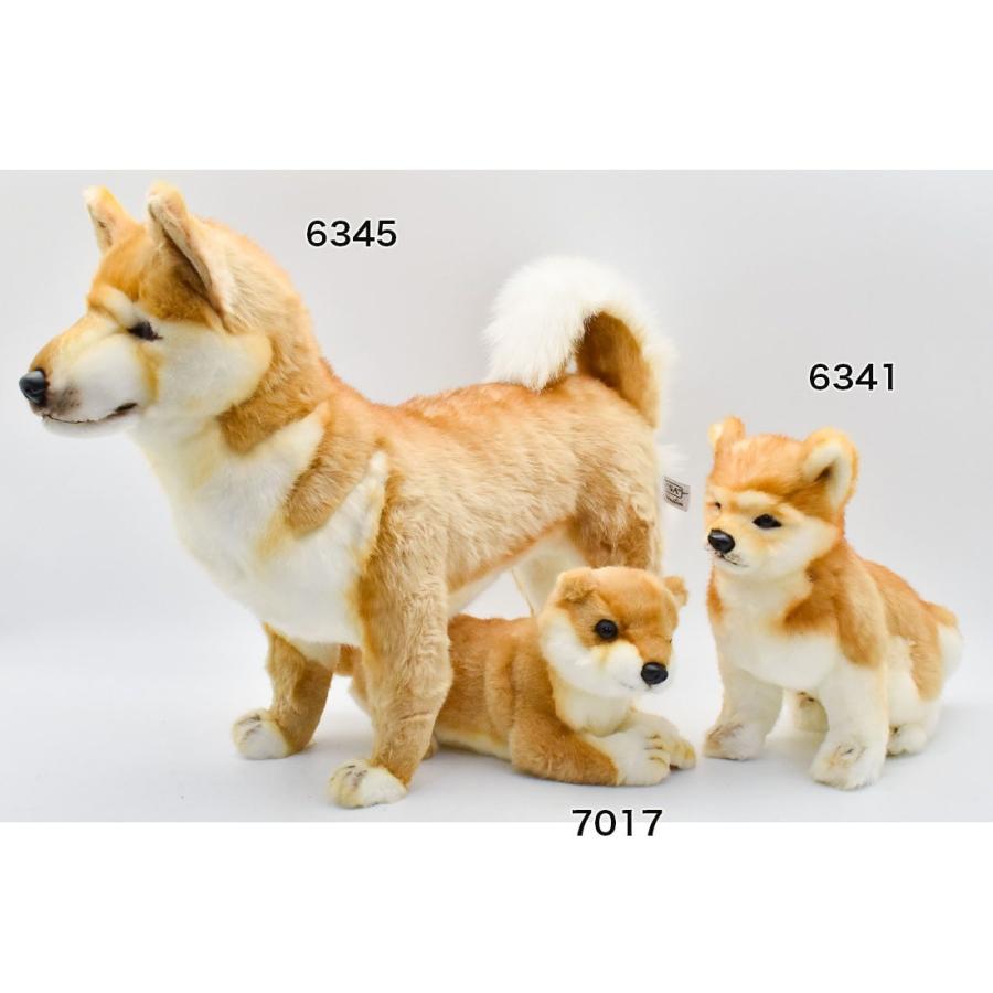 HANSA BH7017 シバイヌ 柴犬 しばいぬ ぬいぐるみ リアル : Dear Bear
