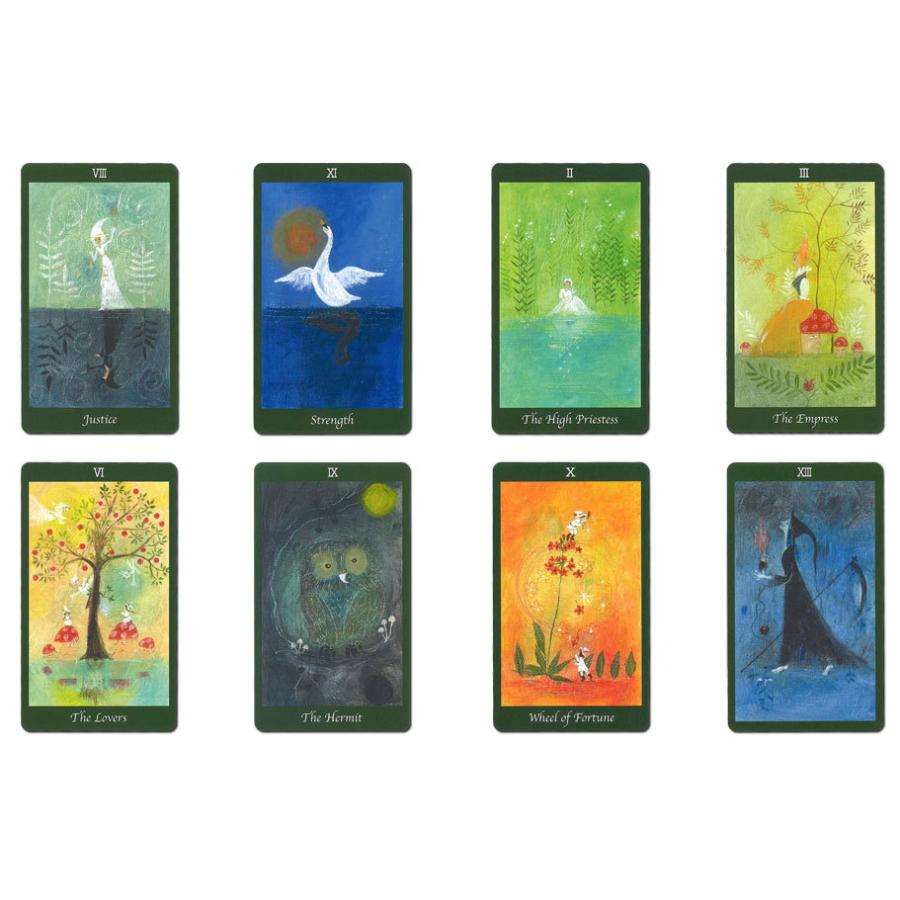 ポイント10倍】Tarot of the Forest Set 森のタロットセット Majoさん