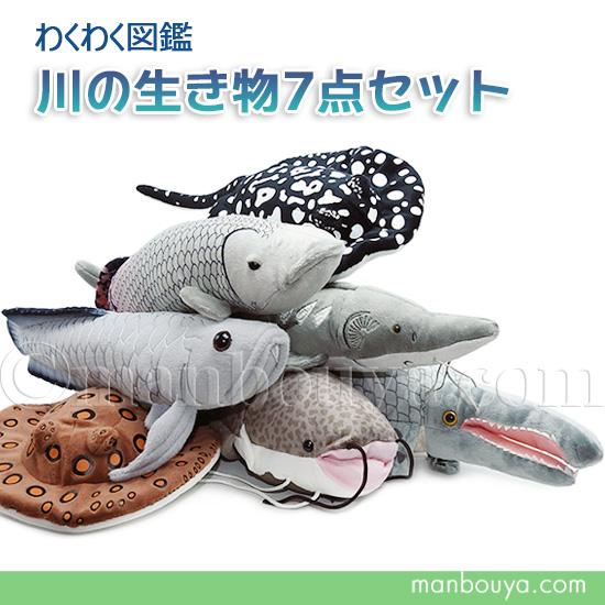 10%OFF 水族館 ぬいぐるみ 淡水魚 川の生き物 A-SHOW 栄商 わくわく