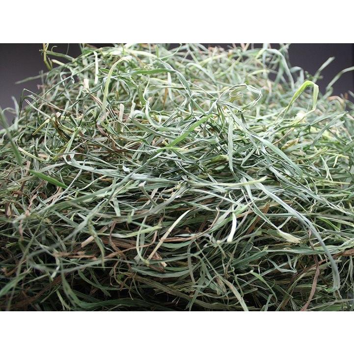令和7年度産新刈り】牧草市場USチモシー3番刈り牧草スーパーソフト