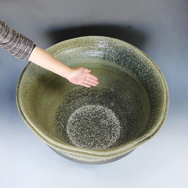 信楽焼 睡蓮鉢 メダカ鉢 おしゃれ めだか鉢 陶器 水鉢 ビオトープ