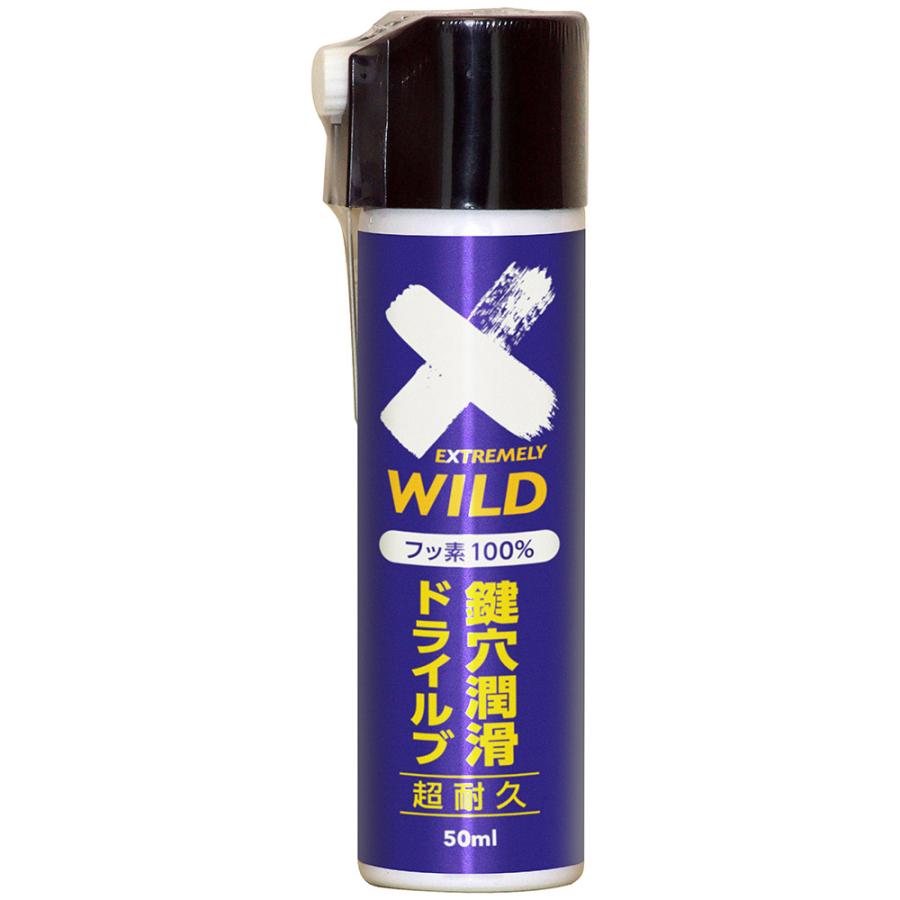 エーゼット AZ AtoZ 鍵穴潤滑 ドライルブ スプレー 50ml DKL-001 カギ