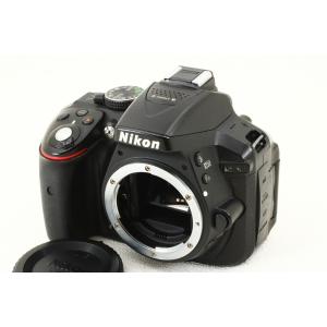ニコンD ニコン Nikon D5300 AF-P ダブルズームキット デジタル一眼