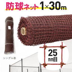 ダイオ 公式 防球ネット ロール巻 約25mm目 2mx30m 黒 ゴルフ 野球