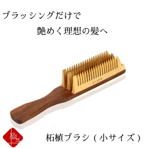つげブラシ 大 ヘアブラシ くし ブラシ つげ 柘植 櫛 木製 伝統工芸