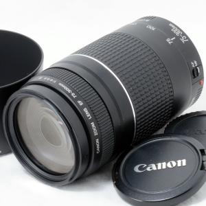 EFレンズ キャノン 望遠ズームレンズ Canon EF 100-300mm F4.5-5.6 USM